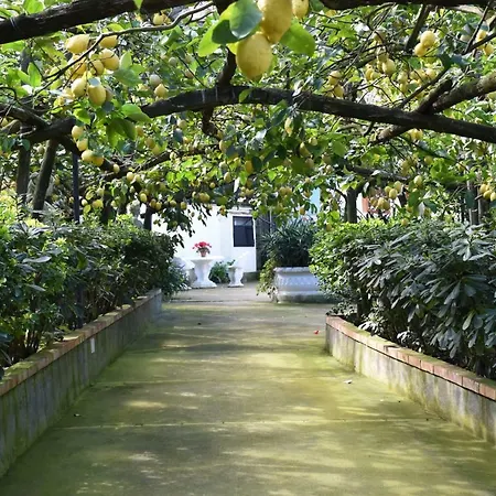 Lägenhet De Gregorio Massa Lubrense