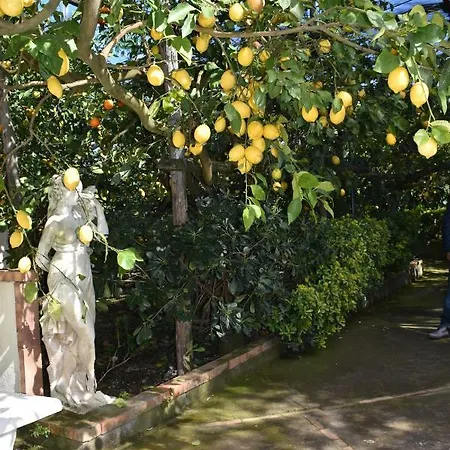 Apartamento De Gregorio Massa Lubrense